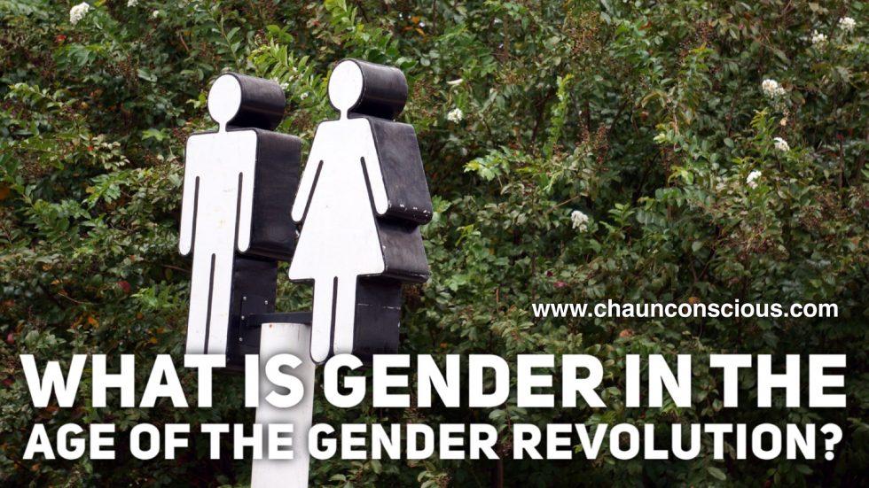 gender revolution